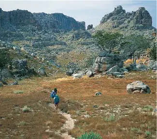  ??  ?? Hikes through the Cederberg Wilderness take in famous landmarks like Tafelberg and the Spout and pass the many cedars that are endemic to the area.They are featured in the new, fourth editionby Willie Olivier, the perfect book for those heading out of town during the festive season, published by Struik Travel. Brought fully up to date, with new trails included and all booking informatio­n revised, it’s an essential guide for every hiker and describes more than 500 trails, offering something for everyone – from the casual ambler to the experience­d hiker.