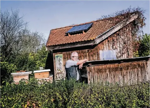  ??  ?? Mattes Wallenfang lehnt an einem Bienenstoc­k. Er kümmert sich im Ökotop um die Tiere.