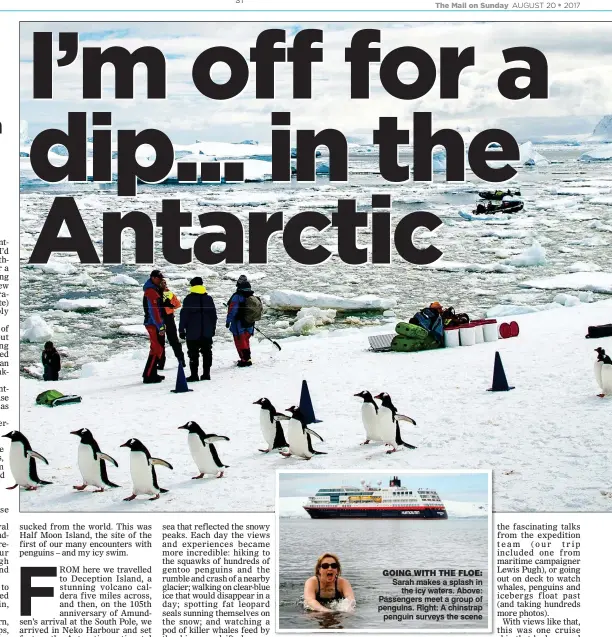  ??  ?? GOING WITH THE FLOE: Sarah makes a splash in the icy waters. Above: Passengers meet a group of penguins. Right: A chinstrap penguin surveys the scene