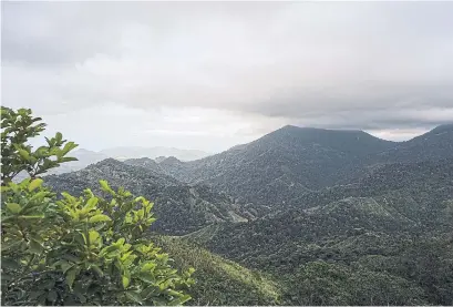  ?? STEPHEN HILTNER PHOTOS THE NEW YORK TIMES ?? The Sierra Nevada de Santa Marta, which surrounds Ciudad Perdida, is one of the world’s highest coastal mountain ranges.