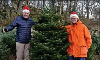  ?? FOTO: HEDDA OVIDIA STØLEN ?? Aage Bach (t.v.), Trygve Lundegaard og resten av Lions Club Farsund er klare for årets juletresal­g - til inntekt for gode, lokale formål.