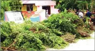  ?? NATHA/GORONTALO POST/JPG ?? TAK ADA ANGIN TAK ADA HUJAN: Batang dan ranting pohon beringin yang tumbang menutupi separo area halaman SD Negeri 12 Kabila.