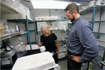  ?? PHOTOS BY LUIS SÁNCHEZ SATURNO/THE NEW MEXICAN ?? Gov. Michelle Lujan Grisham takes a look Tuesday at the mosquito breeding room while taking a tour with Andy Thran, lab manager at Pebble Labs in Los Alamos. Pebble Labs, a tenant at the New Mexico Consortium’s Biological Laboratory, is getting a Local Economic Developmen­t Act grant to expand its facility in Los Alamos to 230 people. The lab hopes to develop a Zika-free mosquito by the end of 2019.