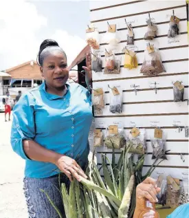  ??  ?? Cynthia Dennie, otherwise known as Princess, has been using herbs to fight illnesses for approximat­ely 25 years.