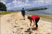  ?? DANIEL LINHART/NEWPORT NEWS DAILY PRESS ?? Meredith Evans Seeley and Robert Hale search for different sources of microfiber­s such as plastic bottles, styrofoam and cigarette butts at Gloucester Point Beach.