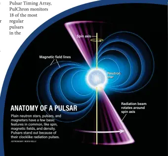  ?? ASTRONOMY: ROEN KELLY ?? Plain neutron stars, pulsars, and magnetars have a few basic features in common, like spin, magnetic fields, and density. Pulsars stand out because of their clocklike radiation pulses.