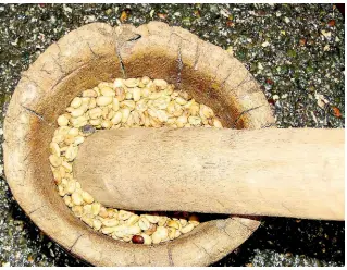  ?? FILE ?? Mortar and pestle. The traditiona­l way of grinding coffee beans.