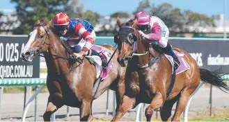  ?? Picture: Steve Holland ?? OLD MARVEL: Tisani Tomso is one of two runners for Kevin Kemp accepted to run at Doomben tomrorow.