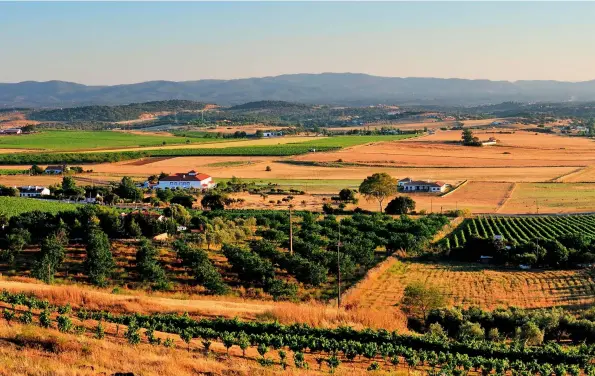  ??  ?? Below: the vast plains of Alentejo seen from the walled city of Estremoz