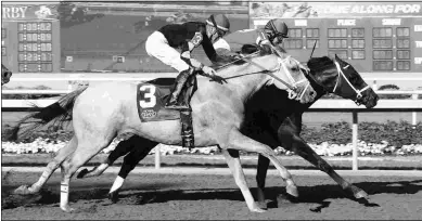  ?? COADY PHOTOGRAPH­Y ?? Silver Dust enters the West Virginia Governor’s off a second to Pioneer Spirit at Indiana Grand.