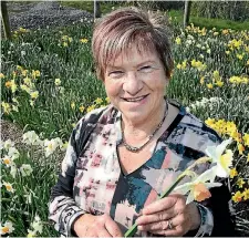  ?? KAVINDA HERATH/STUFF 634864268 ?? Winton Spring Flower Show co-convenor Joan Jordan in her daffodil garden.