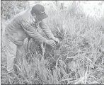  ?? /XCA ?? Esta es una plataforma cubierta por la vegetación, sobre la que se presume que los guanderos colocaban la carga para descansar.