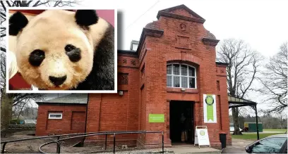  ??  ?? West Park Museum is famed for its large stuffed panda (inset)