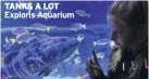  ??  ?? TANKS A LOT Exploris Aquarium THE MARBLE ARCH CAVES