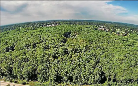  ?? SUBMITTED PHOTO - FALCON PIX ?? An aerial view of the woods on the Don Guanella tract in Marple, site of the ongoing developmen­t controvers­y.