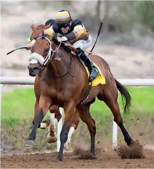  ?? — ERA ?? Shamaal Nibras, ridden by Patrick Dobbs, wins the feature race in Jebel Ali.