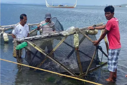  ?? DA PHOTO ?? Fishers under the Samahan ng Magmamalip­uto ng Lemery now used cage culture developed by the National Fisheries Research and Developmen­t Institute.