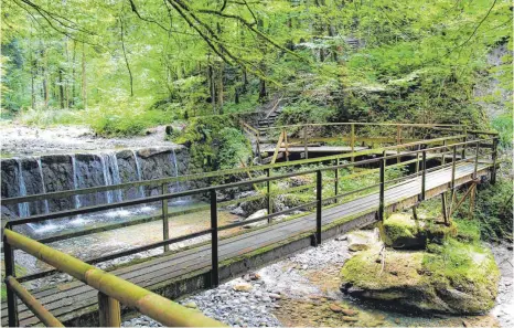  ?? FOTOS: GOETTING ?? Der Gemeindera­t hat beschlosse­n, dass die obere Brücke zwischen Weiler und Obertrogen durch einen Neubau ersetzt werden soll.