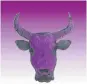  ??  ?? NO BULL: SA’s newest party has a purple cow as its logo