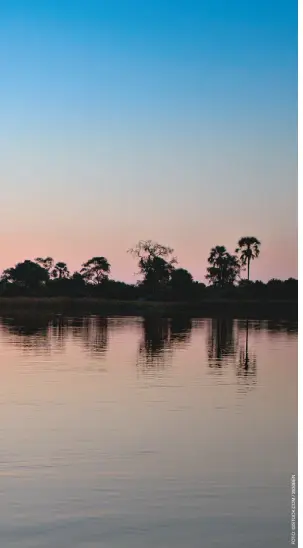  ??  ?? Patrimônio Mundial pela Unesco, o Delta do Okavango é uma das regiões para os safáris em Botswana. Suas águas atraem os muitos animais e as aves que habitam o lugar.