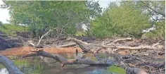  ??  ?? A massive log jam spans the width of the Pecatonica River north of Darlington in Lafayette County.