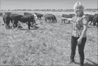  ?? AP PHOTO ?? In this July 11, 2018 photo, animal geneticist Alison Van Eenennaam of the University of California, Davis, points to a group of dairy calves that won‚äôt have to be de-horned thanks to gene editing. The calves are descended from a bull geneticall­y altered to be hornless, and the company behind the work, Recombinet­ics, says gene-edited traits could ease animal suffering and improve productivi­ty.