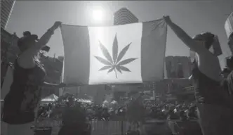  ?? CANADIAN PRESS FILE PHOTO ?? Two people hold a modified design of the Canadian flag with a marijuana leaf in place of the maple leaf in Toronto in April 2016. The number of police-reported pot offences is down in 2016, Statistics Canada says.