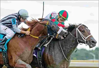  ?? BARBARA D. LIVINGSTON ?? Barbara D. Livingston won a 2018 Eclipse Award for this photo of Wheresheto­ldmetogo trying to bite Firenze Fire in the Gallant Bob Stakes at Parx.