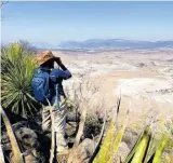  ??  ?? La zona de la RBTC tiene diveresida­d en flora y FAUNA/CORTESÍA