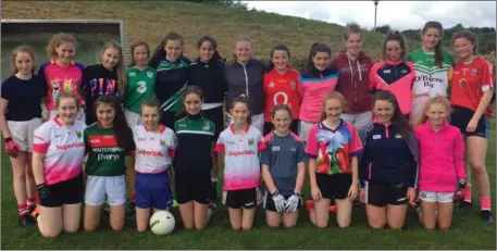  ??  ?? Participan­ts at the Cork Ladies Football Summer Camp held in Banteer last week