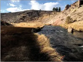  ?? Photos by Fred Rowe ?? Last week the canyon section of Hot Creek had no snow and will look like this again very soon. if the next storm is small it