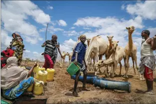  ?? BRIAN INGANGA — THE ASSOCIATED PRESS ?? Herders get water from a borehole to give to their camels during a drought near Kuruti, Kenya, on Oct. 27. Water scarcity is affecting billions of people across the world, the United Nations reported Wednesday.