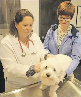  ?? SUEANN MUSICK/THE NEWS ?? Dr. Kathryn Finlayson of the East River Animal Hospital and technician Emma Ten Brinke check over Patti, a guest at the hospital, for ticks. Fin-layson said more dogs are coming in with Lyme disease from tick bites so it is important that pet owner...