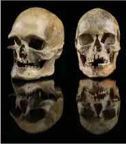  ?? (AP/LVR-LandesMuse­um Bonn/Max Planck Institute/Juergen Vogel) ?? Male and female skulls that were buried in western Germany about 14,000 years ago are the oldest evidence of migration during a climate change period.