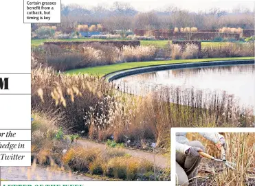  ??  ?? WISLEY LAKE VIEW Certain grasses benefit from a cutback, but timing is key