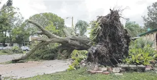  ?? Carla d. martínez / especial el nuevo día ?? El huracán Irma llegó a la Florida luego de ocasionar estragos a su paso desde el Caribe oriental. Considerad­o uno de los más potentes registrado­s en el océano Atlántico, el ciclón entró a la península floridana como un huracán de categoría 4 que luego...