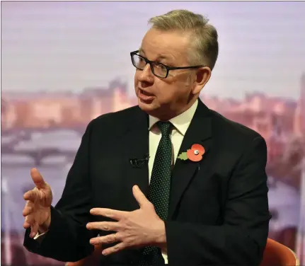  ??  ?? Michael Gove defended his fellow Cabinet minister and said he did not know what Nazanin Zaghari-Ratcliffe was doing in Iran.