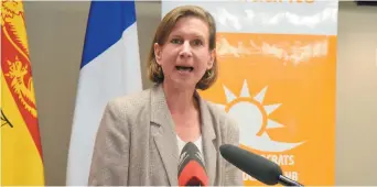  ??  ?? Jennifer McKenzie est la nouvelle chef du Nouveau Parti démocratiq­ue du Nouveau-Brunswick. - Acadie Nouvelle: Mathieu Roy-Comeau