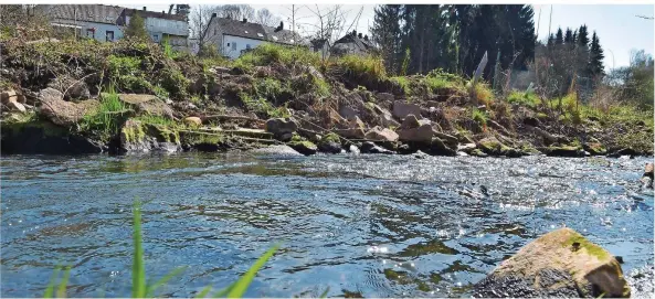  ?? FOTO: BECKER&BREDEL ?? Der Fischbach nimmt in Camphausen Grubenwass­er auf. Darin sind auch gesundheit­sschädlich­e Polychlori­erte Biphenyle enthalten. Aber PCB kommen nicht aus den Gruben.