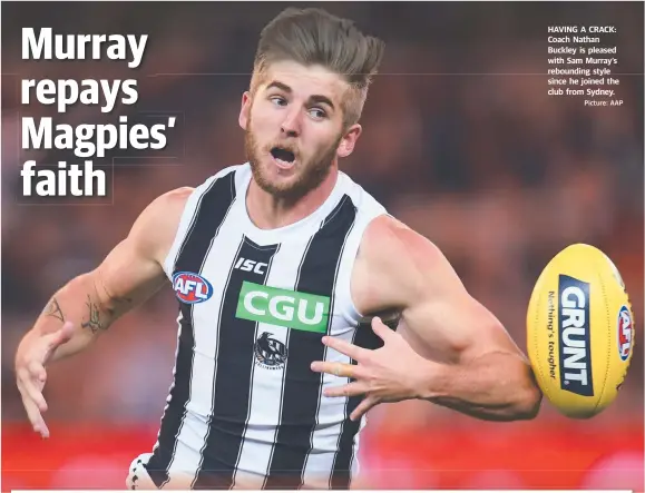  ?? Picture: AAP ?? HAVING A CRACK: Coach Nathan Buckley is pleased with Sam Murray’s rebounding style since he joined the club from Sydney.