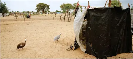  ?? ?? For the birds… A homemade toilet in the Ndama informal settlement on the outskirts of Rundu, Namibia, presents a typical solution for citizens left without basic infrastruc­ture or safe options for sanitation. The sanitation crisis affects every region of the country, but hits especially hard in the rural regions.