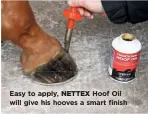  ??  ?? Easy to apply, NETTEX Hoof Oil will give his hooves a smart finish