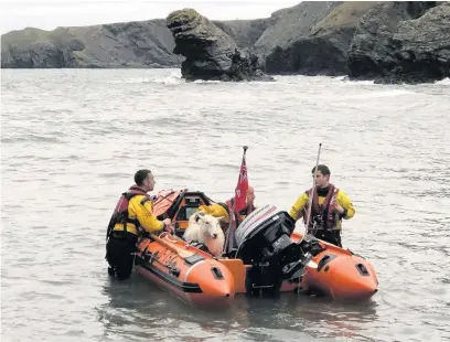  ??  ?? New Quay RNLI volunteers rescued a sheep and a dog on New Year’s Eve.