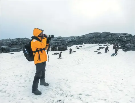  ?? PROVIDED TO CHINA DAILY ?? A participan­t takes pictures of the Antarctic during an internatio­nal expedition sponsored by Global Green Economic Forum.