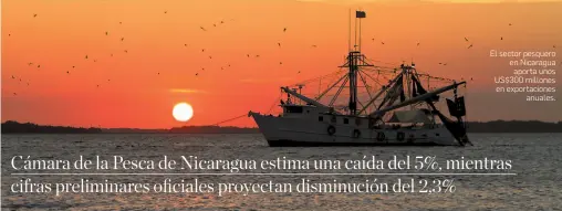  ??  ?? El sector pesquero en Nicaragua
aporta unos US$300 millones en exportacio­nes
anuales.