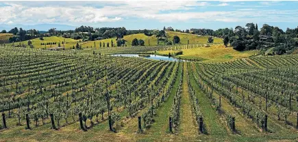  ??  ?? Part of the 21-hectare vineyard at Mahana Estates, which has been sold to KiwiSaver fund provider Booster for an undisclose­d sum.