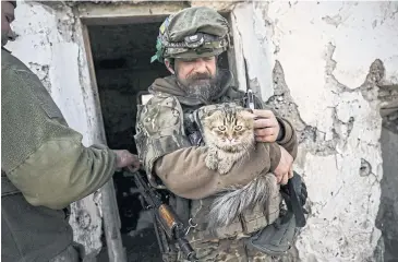  ?? AFP ?? A Ukrainian serviceman caresses a cat near Bakhmut on Thursday amid the Russian invasion of Ukraine.