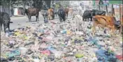  ?? PANKAJ TIWARI PINTU/HT ?? Stray cattle feed on garbage dumped at Circular road in Gonda.