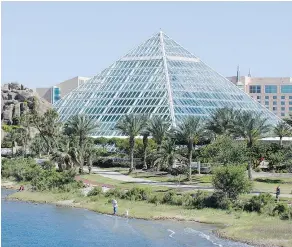  ??  ?? At the Moody Gardens’ Rainforest Pyramid in the East End Historical District, tropical worlds await under a 10-storey glass pyramid.