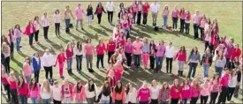  ?? GIRLS’ SEMINAR GROUP ?? Members of the Girls’ Seminar Group, pictured at Westwood Senior High in Hudson, produced the anti-bullying video.